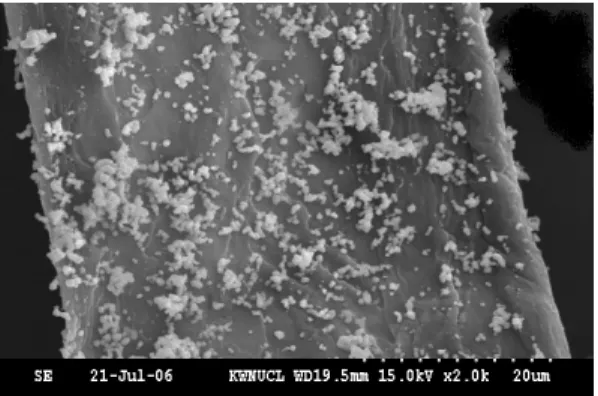 Fig. 5. SEM of Pulp with TiO 2 .
