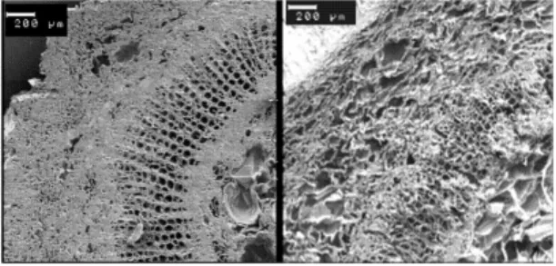 Fig. 5. Effects of soaking time on the extractability of bright tobacco stem.