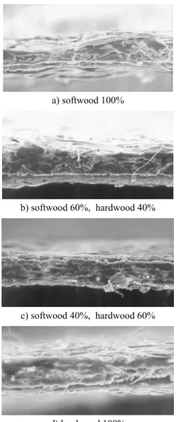 Fig. 11. Cross section images of wood fiber  handsheets.3.4.2 해조류 섬유 10% 첨가시료 (×350)3.5 전자현미경에 의한 종이 단면관찰해조류섬유를 첨가한 종이의 단면을 촬영 비교한 결과 종이의 표면에서와 마찬가지로 종이 내부에서로 가늘고 긴 해조류 섬유가 섬유와 섬유 간 접합을 증가시키는 가교 역할을 수행하고 있는 현상을 확인 할 수 있었으며 이로 인해 종이의 내부결합강도를 증가시키는 요인으로 작용되었
