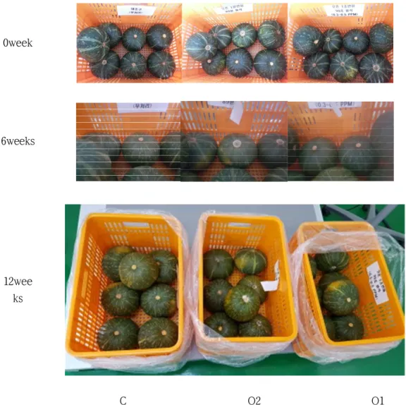 Figure 1. Small-scale storage stability of sweet pumpkin after ozone injection.  C:  Control., O1 : Ozone treatment 1