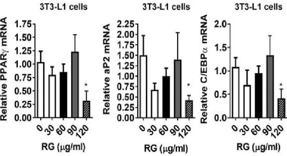 Figure 5. adipogenic gene expression of PPARγ, aP2, C/EBP by qPCR.
