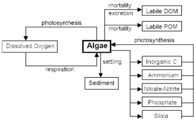 Fig. 5. Reaction Mechanism of Algae and Water Quality (Cole and Wells, 2003)