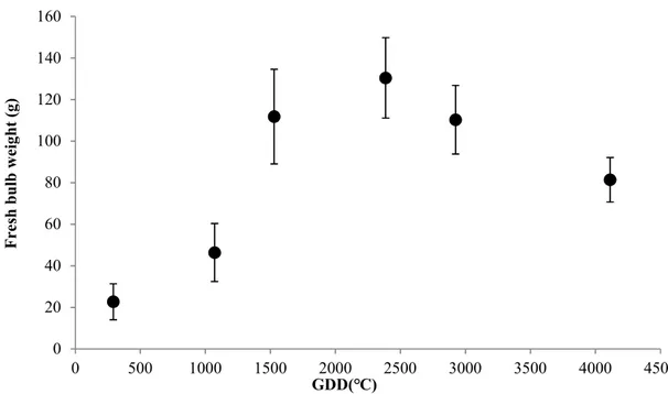 Fig. 2-5. Change in fresh bulb weight according to GDD during the growth period of 