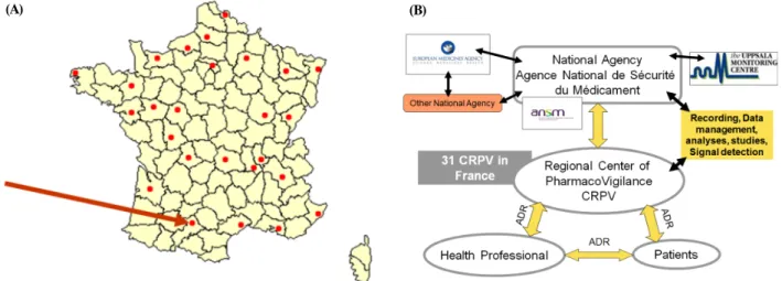 Figure  1.  Distribution  Status  of  the  Regional  Pharmacovigilance  Centers  and  the  Operating  System  of  Pharmacovigilance  in  France