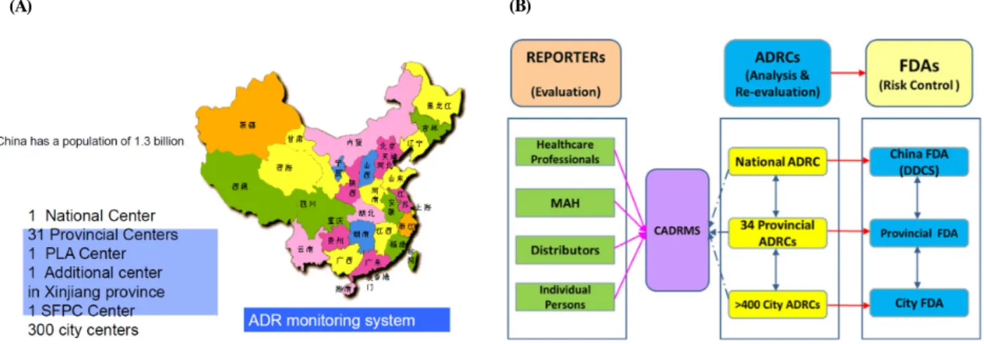 Figure  3.  Distribution  Status  of  the  Regional  Pharmacovigilance  Centers  and  the  Operating  System  of  Pharmacovigilance  in  China