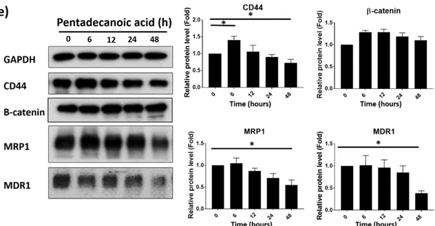 Figure 4. Pentadecanoic acid suppressed the stem cell-like properties of MCF-7/SC cells