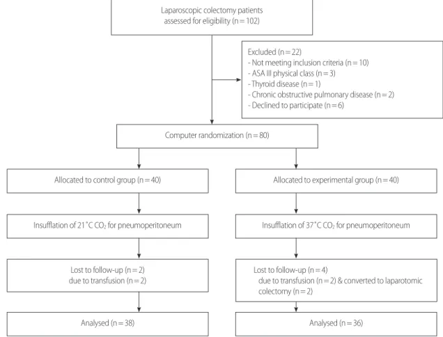 Figure 1. Flow diagram of the study participants.