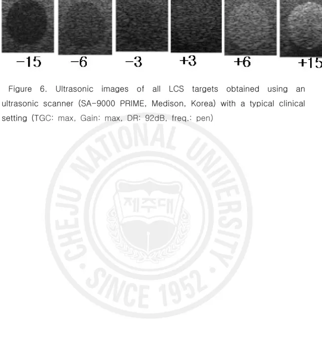 Figure  6.  Ultrasonic  images  of  all  LCS  targets  obtained  using  an  ultrasonic  scanner  (SA-9000  PRIME,  Medison,  Korea)  with  a  typical  clinical  setting  (TGC:  max,  Gain:  max,  DR:  92dB,  freq.:  pen)
