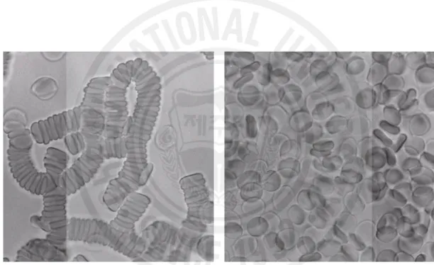 Fig.  1.  Photomicrographs  of  human  RBCs  in  plasma  (left  panel)  and  in  saline  (right  panel)