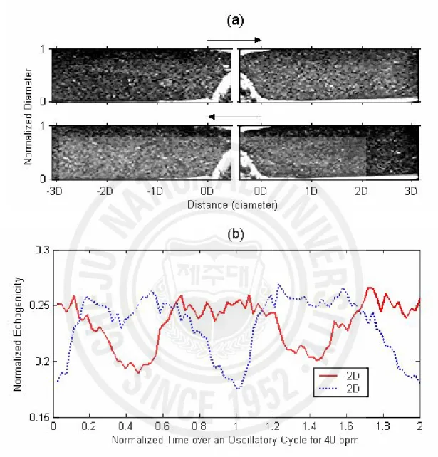 Fig. 8. (a) Snap shots of B-mode images from RBC suspension extracted from forward flow and  backward  flow  under  oscillatory  flow  of  40  bpm