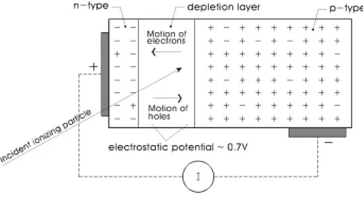 Fig.  2.  Schematic  overview  of  the  basic  principle  of  p-type  silicon  diode.    