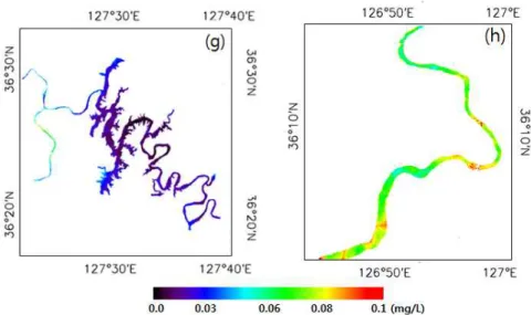 Fig. 6. Spatial Pattern of Total phosphorus in Daechung Lake (g) and Downstream (h) on April 21, 2014