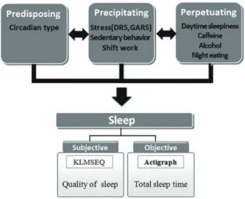 Figure 1. Conceptual framework of this study.