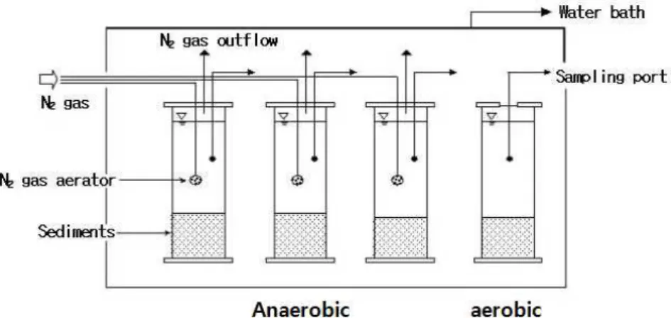 Fig. 2. Schematic Chamber Diagram for Nutrient Release Experiment로 작용하여 나타나는 것이기 때문에 어떤 조건이 크게작용했는가를 정량적으로 밝히기는 어려우나 실험실 내에서 용출조건을 인위적으로 변화시키면서 영양영류의거동을 관찰함으로써 어떤 과정에 의해 영양염류의 용출이 이루어지는지 짐작할 수 있다고 하여 이를 참고하여퇴적물 시료를 채취하여 현장조건을 적용한 시나리오별반응실험을 통해 실험실에서 분석하였다.