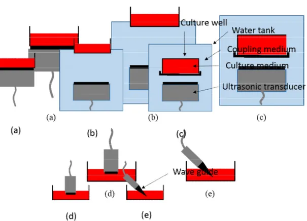 Figure  1.2.  Schematic  of  the  various  experimental  setups  for  in  vitro  cultured  cell  line  exposed  to  ultrasound
