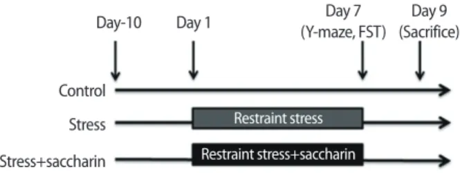 Figure 1. Design of experiment. 