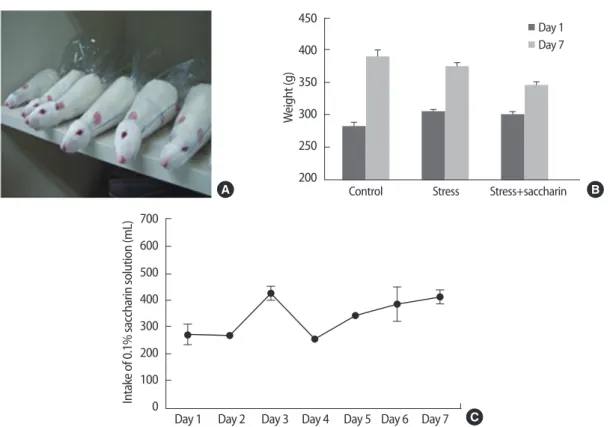 Figure 2. Restraint stress equipment and set up (A) Rats were placed into restraint tool for 2 hour