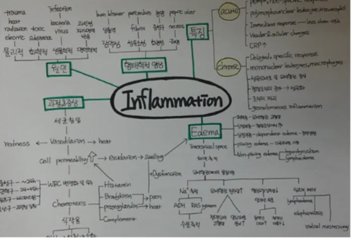 Figure 1. A concept map regarding to inflammation which is made by  nursing students in this study.