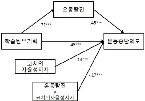 그림  26.  조절된  매개모형의  통계모형