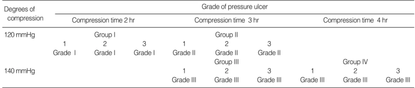 Figure 2. The wound in rat at 5 days after experimentally-induced pressure ulcer (covered crust, Group III).