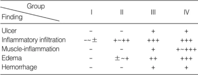 Figure 8. Light microscopic findings of ischemic rat skin after in- in-duced pressure ulcer