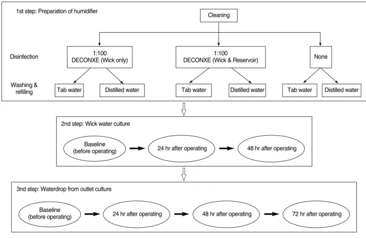 Fig. 1. Scheme of the study.