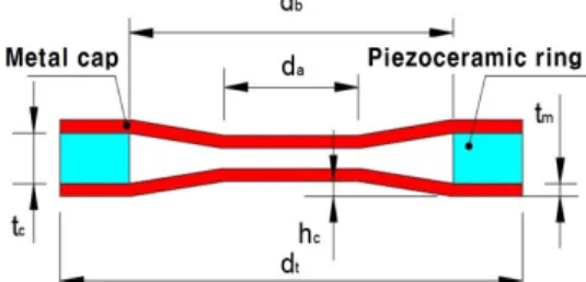 Fig. 3. Schematic structure of the concave cymbal tran- tran-sducer.