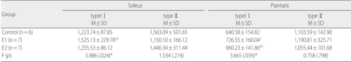 Table 4. Fiber Cross-Sectional Area of the Hindlimb Muscles  Group  Soleus Plantaris typeIⅠ M± SD typeⅡM± SD typeIⅠM± SD typeⅡM± SD Control (n= 6) 1,223.74± 87.85 1,563.09± 501.65 640.58± 154.82 1,103.59± 142.90 E1 (n= 7)  1,525.13± 229.78 †§ 1,150.10± 166