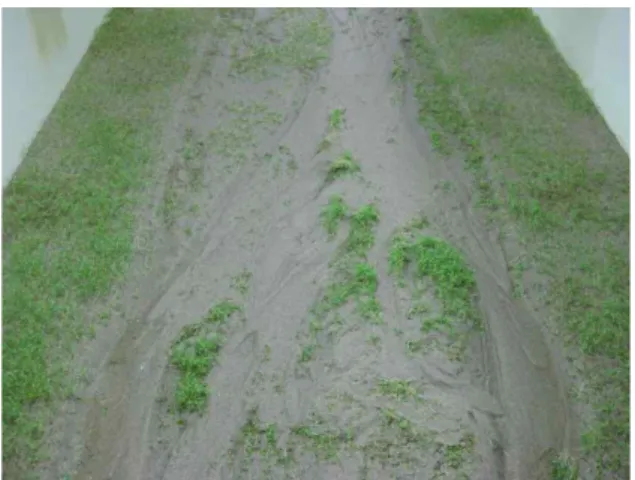 Fig. 5. Bed Changes in the Lower Channel for