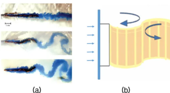 Fig. 1. (a) Fluid flow visualization by vortex, (b) vibration  of piezoelectric sensor by vortex.