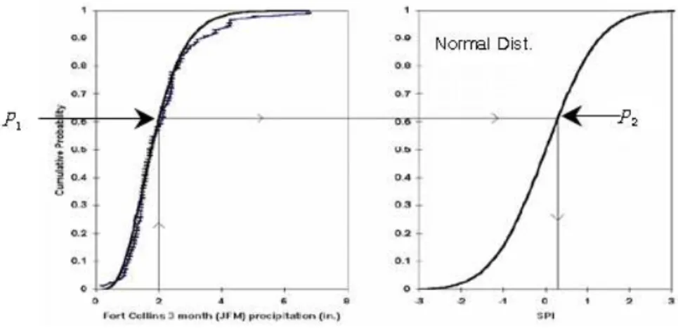 Fig. 1. Concept of SPI Estimation (Mckee et al., 1993)