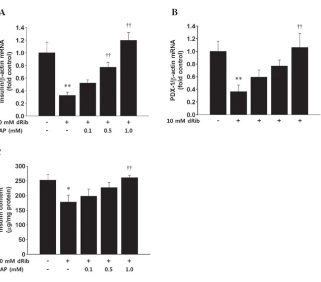 Fig.  8.  2‑deoxy‑ D ‑ ribose(dRib)‑induced  decrease  in  the  mRAN  expression  level  of  (A) 