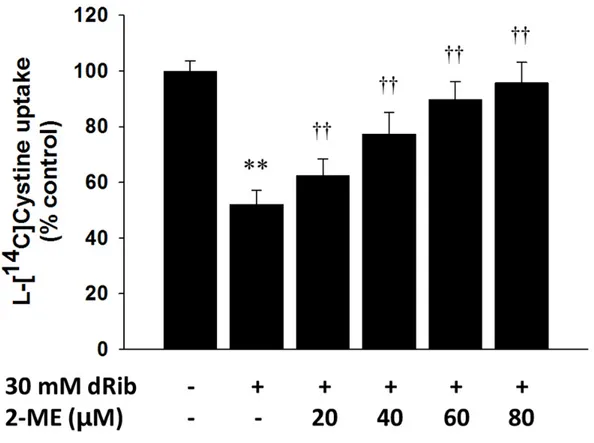 Fig. 13. Effects of 2-mercaptoethanol (2-ME) treatment on the dRib-induced decreases in  L -