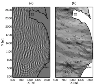 Fig. 6. (a) Free Surface Displacement (shading) and (b) Wave Height (unit: m) Resulted from t=60  after Wave Generation Begins (incident wave condition: