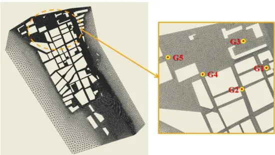 Fig. 4. Unstructured Grid System and Location of 5 Points