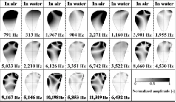 Fig. 4. Natural frequency and vibration mode shape  of the model propeller blade.