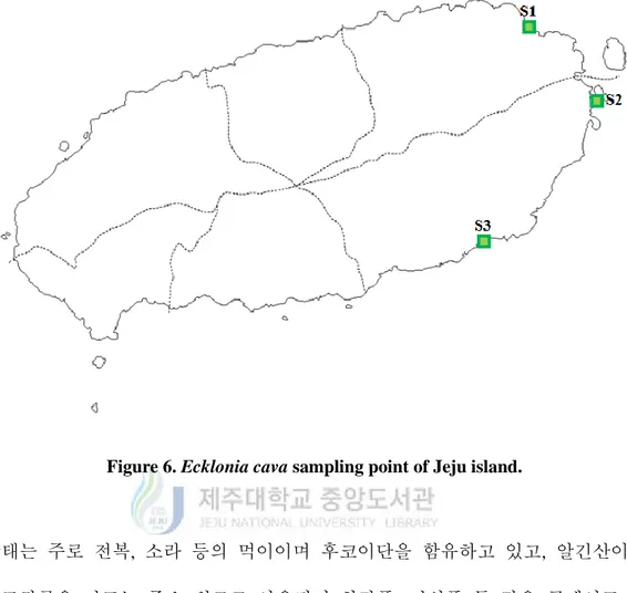 Figure 6. Ecklonia cava sampling point of Jeju island. 