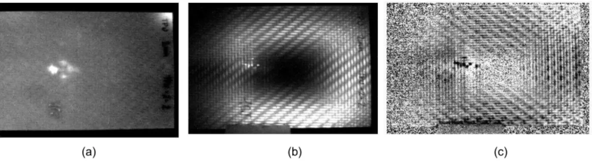 Fig.  5 (a)  detection  of  an  impact  damage  in  CPRP  by  flash  excited  thermography
