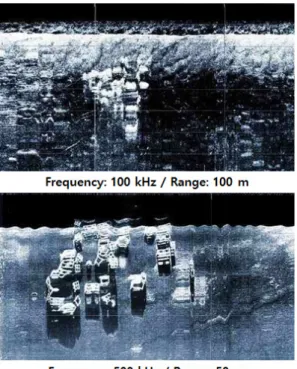 Fig. 1. Low and high frequency side scan sonar image.