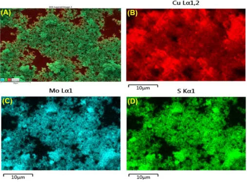Figure  4.1  (C  and  D)  are  FE-SEM  micrographs  of  as-synthesized  I-phase  Cu 2 MoS 4   at 
