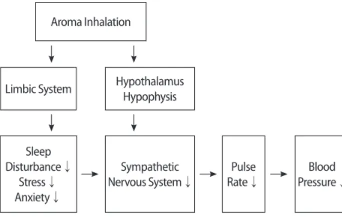 Figure 1. Theoretical framework.