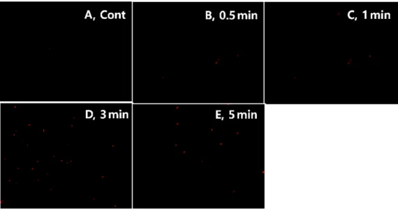 Fig. 5. Reactive oxygen species levels of yeast cells irradiated with 40 kHz ultrasound irradiation at various times were assessed by dichlorohydrouorescein diacetate staining under fluorescence microscope