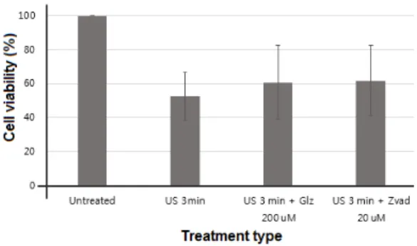 Fig. 8. Inhibitors of cell death with ultrasound irradiation  slightly increase cell viability
