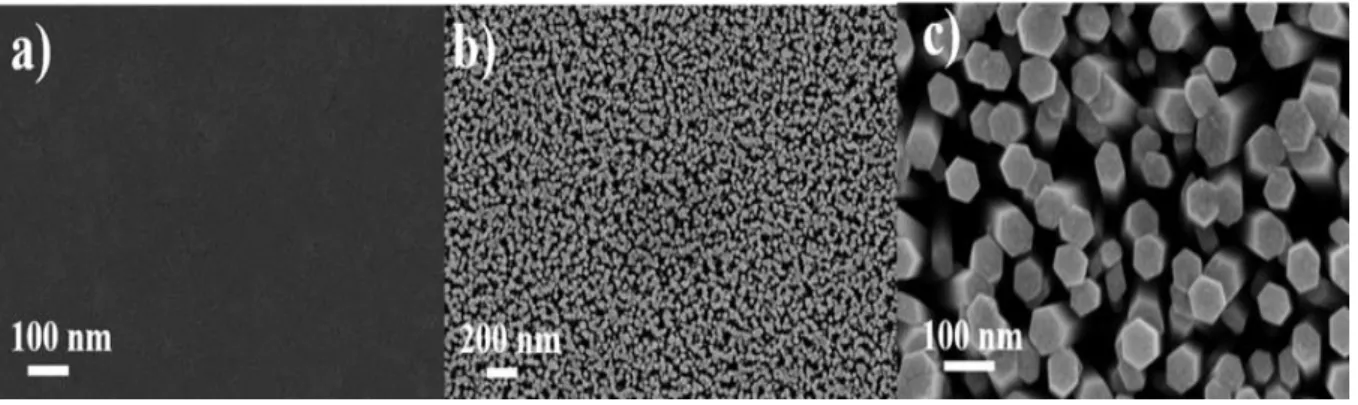 Fig. 2.7. (a) SEM image of ZnO seed layer (b) Highly dense and vertically aligned ZnO NWs grown over the ZnO 