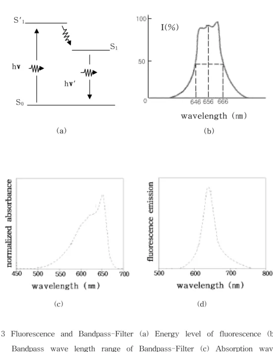 Fig.  3  Fluorescence  and  Bandpass-Filter  (a)  Energy  level  of  fluorescence  (b)    Bandpass  wave  length  range  of  Bandpass-Filter  (c)  Absorption  wave  length  (d)  Fluorescence  Emission  wave  length