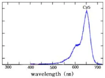 Fig.  17  Absorption  and  emission  spectra  of  cy-5