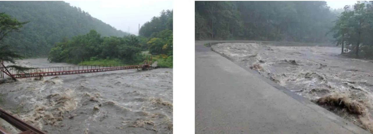 Fig. 11. The Rough Flow by Flood of Heavy Rain in Experimental Section of the Meandering River (June/09/2009) 경사와 하상재료 입경을 고려해 보았을 때, 자갈 하상재 료 분포에 따른 한계수류력의 범위는 유역면적이 비슷한 Höegne 하천의 범주와 비슷했다
