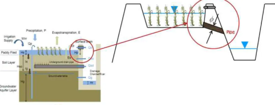 Fig. 4. Pipe Drainage in Paddy Area수(m/hr),는 지하수위의 경사, ℓ는 분할유역간의 접속선의 길이(m), T는 유역내의 평균대수층 두께(m)이다.·(8)여기서, QIN은 대수층으로의 유입(m3/s), QOUT은 대수층으로부터의 유출(m3/s), A는 유역면적(m2), S는 저류계수, h는 지하수위(m)를 나타낸다.2.1.4 논 유출 해석CAT에서는 논에서의 유출과정을 반영할 수 있는 방