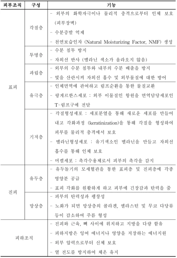 표 Ⅱ-3. 피부의 구조와 기능 (김경영 외, 2019). 피부조직 구성 기능 표피 각질층 - 외부의 화학자극이나 물리적 충격으로부터 인체 보호(피부장벽)- 수분증발 억제