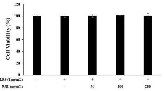 그림 Ⅲ-1. Rubus coreanus extract (RSL)의 RAW 264.7 세포 내 독성 평가.